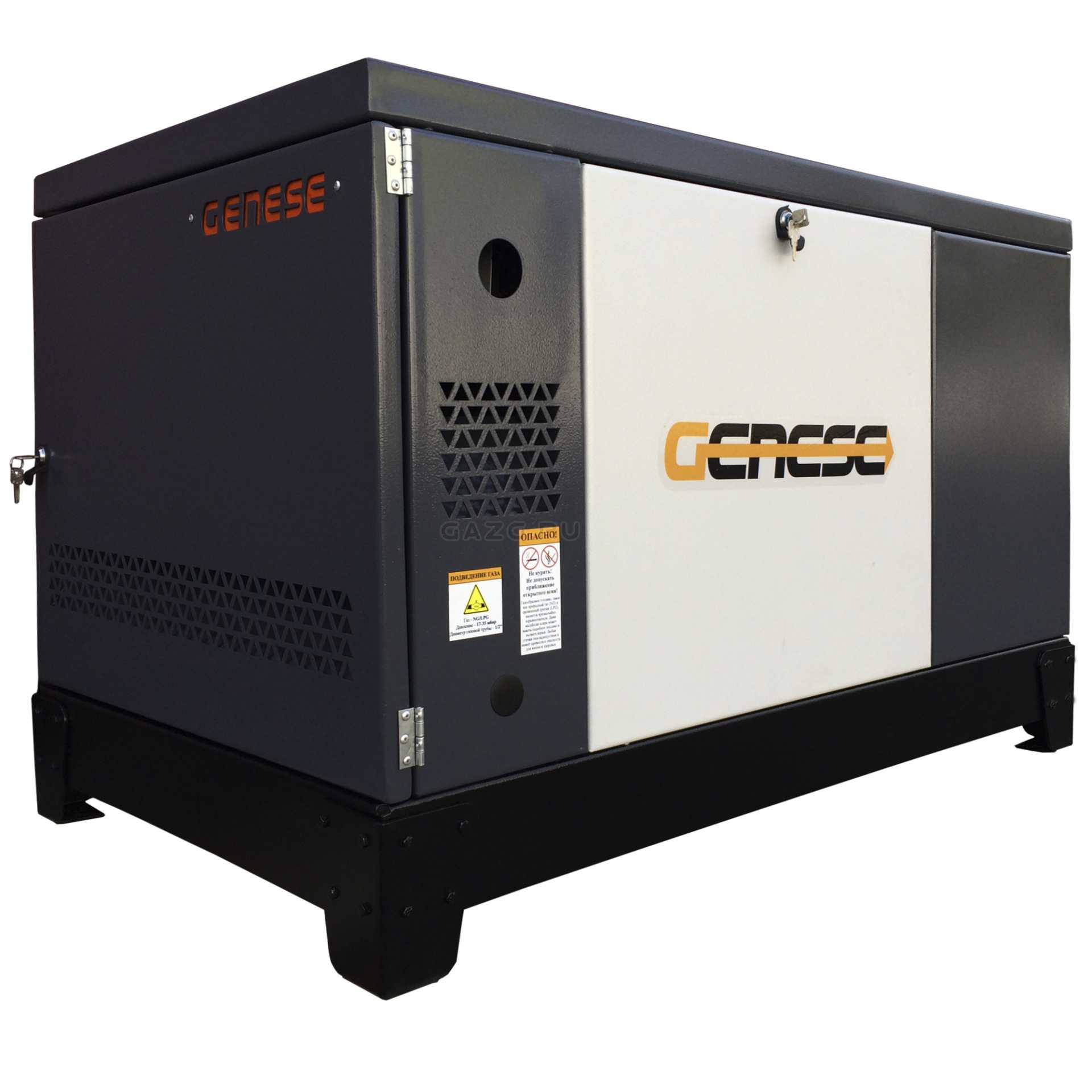Genese Standard 10000 Neva в кожухе (220В)